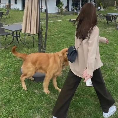 烈焰追击