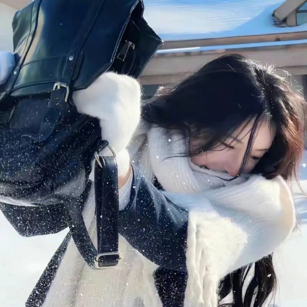 飞蛾日记
