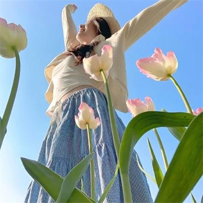 大内密探王二狗2